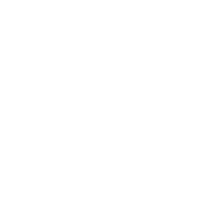 TAMU System seal logo - white